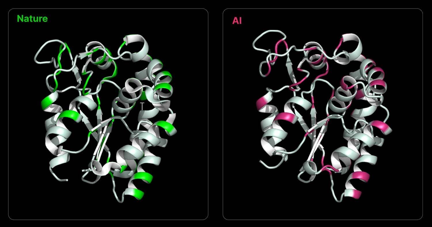 AI designs protein with applications for heart disease