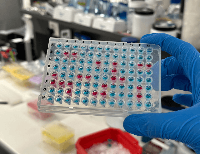 Pharmaceutical
Industry